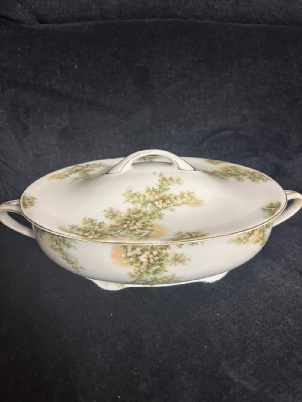 Vintage Rosenthal Germany Covered Vegetable Tureen Floral & Gold Trim
